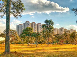 condominio-splendor-garden.